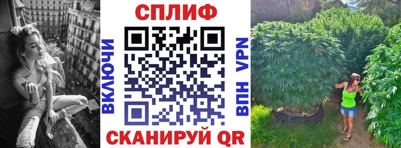 Шишки марихуана планчик  Якутск 